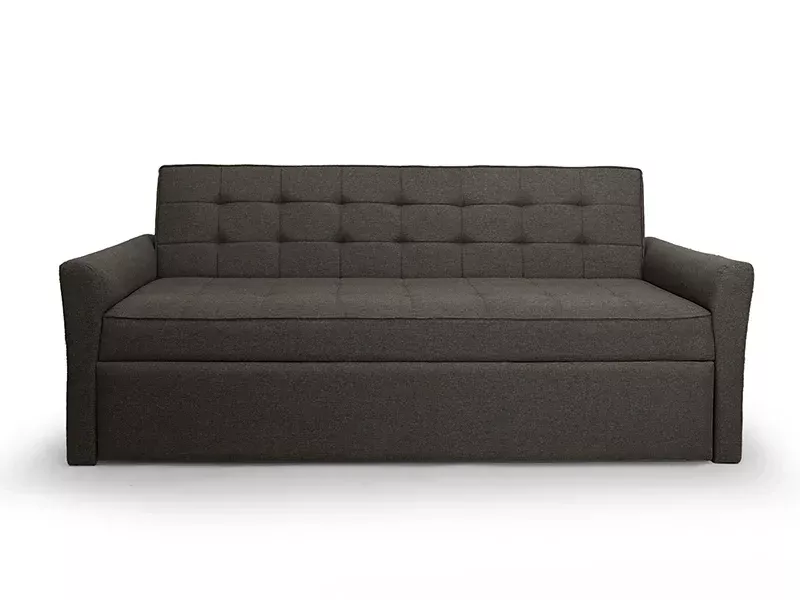 Zenith Sofa Cum Bed in Dark Grey